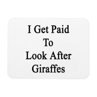 I Get Paid To Look After Giraffes Rectangle Magnet