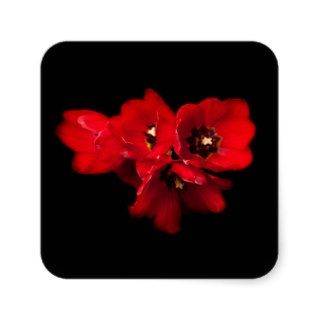 Red Tulips on Black   Customized Template Sticker