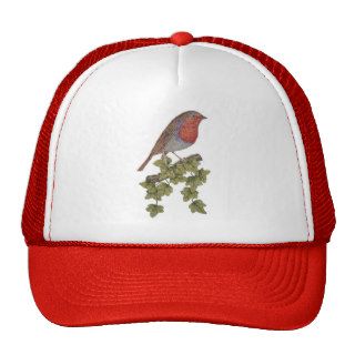 Robin and ivy illustration green christmas hat