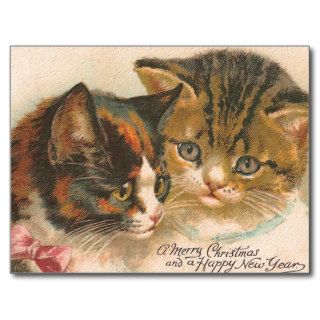 "Two Vintage Kittens" Postcard