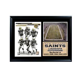 2013 New Orleans Saints 12x18 Photo Stat Frame Encore Select Football