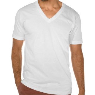 Plain White Men's American Apparel Fine Jersey V T Shirts