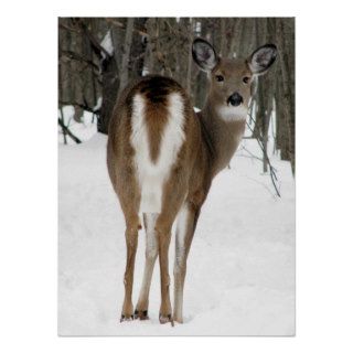 look back, deer print