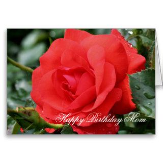 Happy Birthday Mom Red Rose Flower Photo Card
