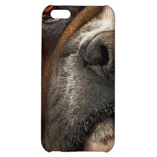 Boxer Dog  iPhone 5C Case