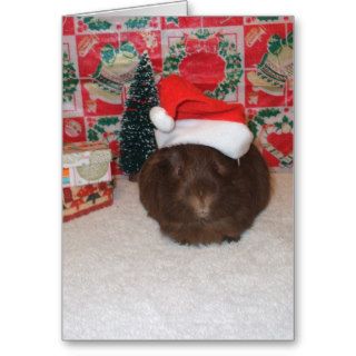 Brown Santa Pig Greeting Cards