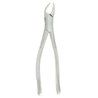 Dental Extracting Forceps #151 6.5"