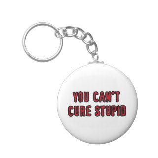 You can't cure stupid keychain