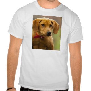 Redbone Coon Hound Dog Puppy Tee Shirts