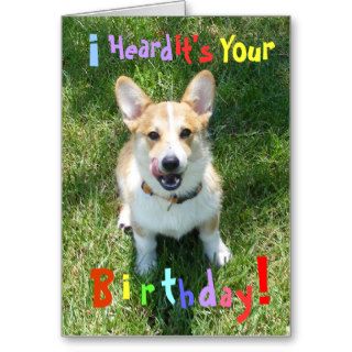 Corgis and Cake Birthday Card