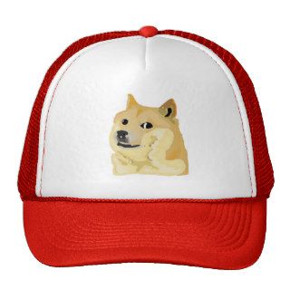 wow. such doge. much hat.