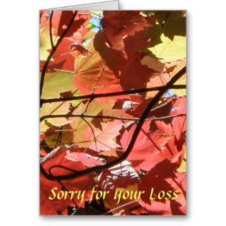 Sorry for your Loss Sympathy Card (From Us)