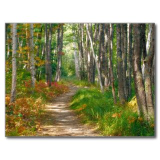 NA, USA, Maine.  Jessup trail in Acadia National Postcards