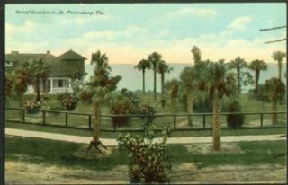 The Braaf Residence St Petersburg FL postcard 191? Entertainment Collectibles