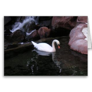 White Swan Greeting Card   Blank Inside