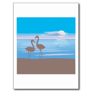Crane Cranes Bird Birds Gruiformes Sunset Nature Postcards