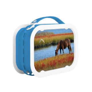 Horse Grazing Near the Water Lunchbox