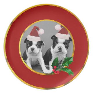 Christmas Boston Terrier puppies Plates