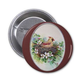 Mama Cardinal Redbird in Nest Pins