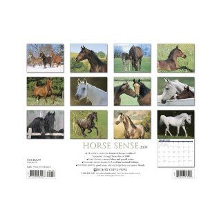 Horse Sense Calendar Willow Creek Press 9781595436665 Books