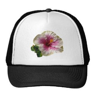 Hibiscus Candy Striper Hat