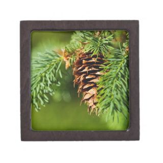 Christmas Evergreen Pine Cone Needles Tree Trees Premium Trinket Boxes