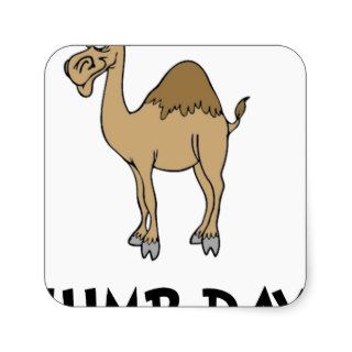 Hump Day Camel Square Stickers