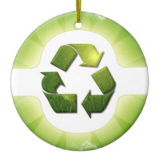 Environmental Issues Ornament