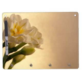 Double White Daffodils Dry Erase Board