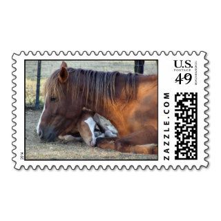 Mare's Love Stamp