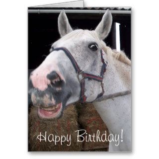 Smile Horse wish Happy Birthday Card