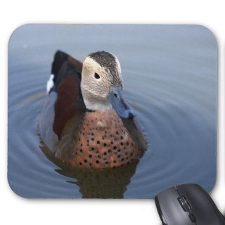Duck ringed teal bird beautiful photo mousepad