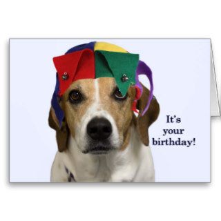 Beagle Birthday Card by Focus for a Cause