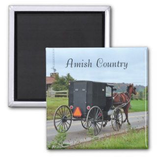 Amish Country Horses Magnet