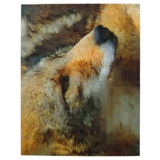 Wild Coyote   Painted Effect Close Up Photo Photo Puzzles