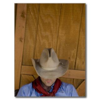 A cowboy resting with his hat tilted over his post card