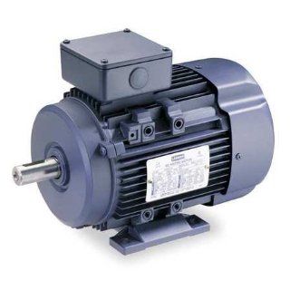 Leeson 193301.60 Rigid Base IEC Metric Motor, 3 Phase, DF100L Frame, Rigid Mounting, 3HP, 1800 RPM, 230/460V Voltage, 60/50Hz Fequency Electronic Component Motor Drives