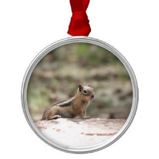 Sunning Ground Squirrel Christmas Ornaments