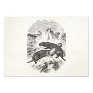 Vintage Sea Otters 1800s Otter Illustration Personalized Announcement