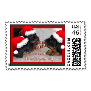 Rottweiler Christmas A Time of Joyous Giving Postage