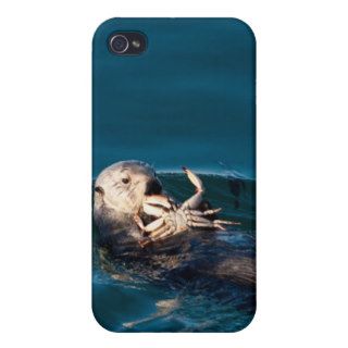 Sea Otter iPhone 4/4S Cases