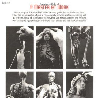 Modeling the Figure in Clay, 30th Anniversary Edition A Sculptor's Guide to Anatomy Bruno Lucchesi, Margit Malmstrom 9780823030965 Books