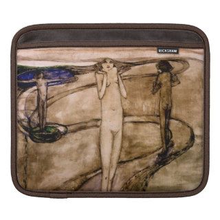 'Tis a Long Path Which Wonders to Desire iPad Sleeve