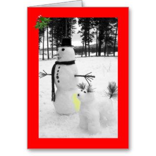 Funny snowman Christmas Cards