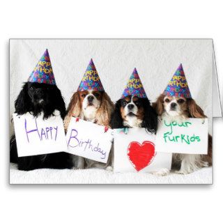 Happy Birthday the Day Dog Cavaliers Greeting Cards