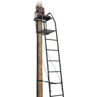 Big Dog BDL 302 16' Ladder Stand Sports & Outdoors