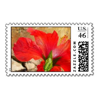 Back Of A Red Hibiscus Flower Against Stone Stamps