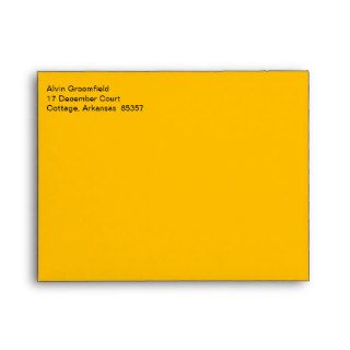 Mailing Elegant Fluorescent Orange Envelopes