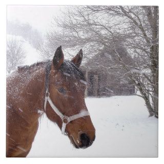 A horse near an old barn in a snow storm tile