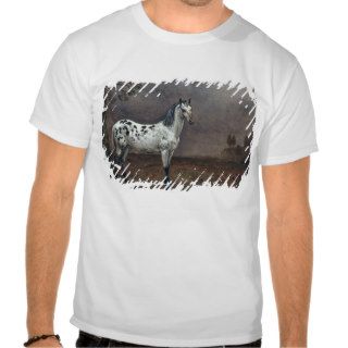 The Piebald Horse, 1653 Tee Shirt